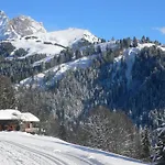 Le Bristol A25-31 By Interhome