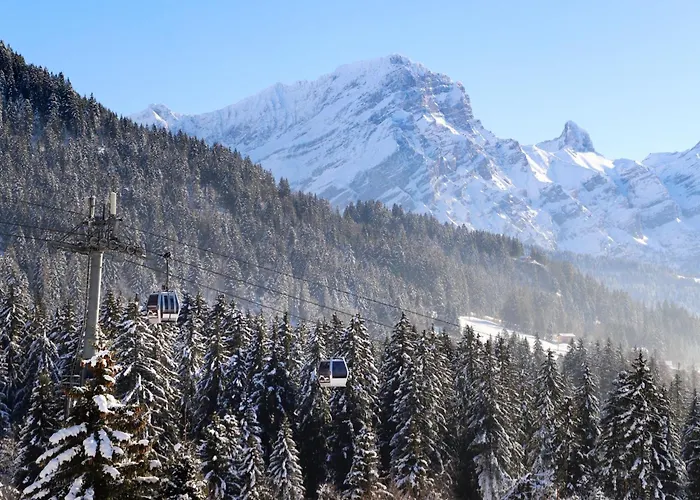 Le Bristol A25-31 By Interhome