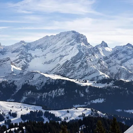 Apartment Le Bristol A25-31 By Interhome