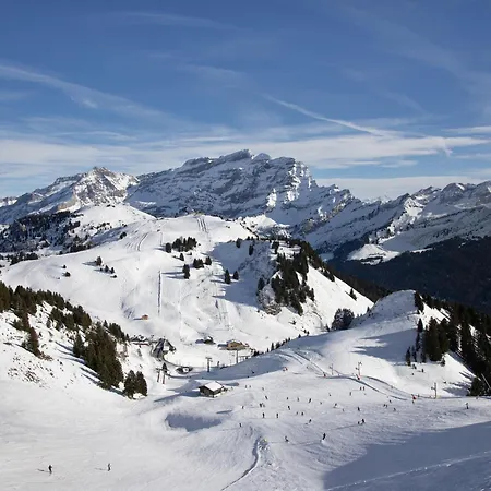 Le Bristol A25-31 By Interhome *