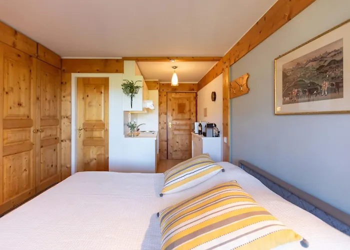 Le Bristol A25-31 By Interhome * Villars-sur-Ollon