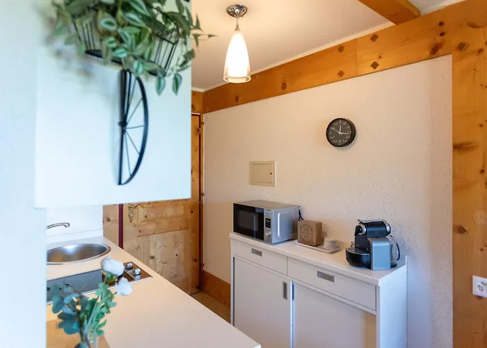 Le Bristol A25-31 By Interhome Apartment Villars-sur-Ollon