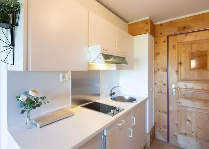 Le Bristol A25-31 By Interhome Villars-sur-Ollon