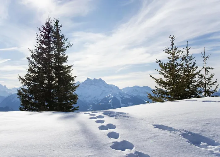 Le Bristol A25-31 By Interhome Villars-sur-Ollon