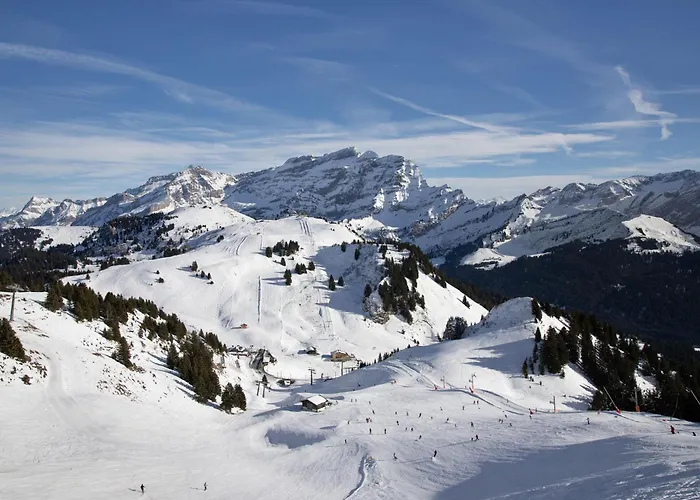 Le Bristol A25-31 By Interhome *