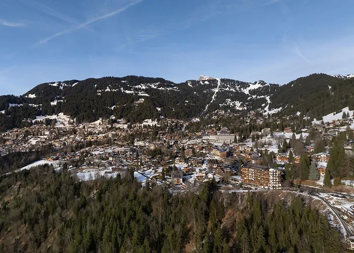 Le Bristol A25-31 By Interhome